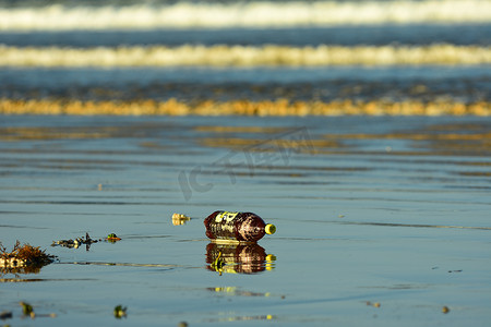 新西兰奥克兰 — 2020 年 1 月。海洋污染，塑料瓶被冲上海滩。