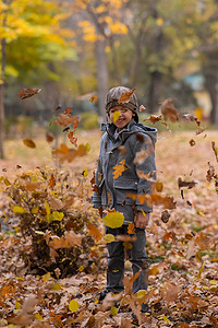 穿着灰色外套和贝雷帽的白人男孩在秋天的森林里。