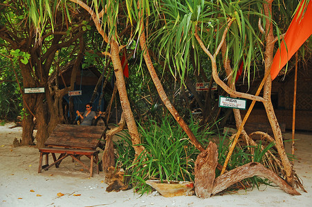 菲律宾甘米金的曼蒂格岛自然公园香兰树
