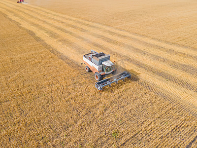 收割麦粒和作物鸟瞰图。在田地、牧场和农田收割小麦、燕麦、大麦。联合收割在田间。农业工业。联合收割机切割小麦田。机器收割