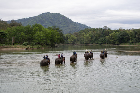 老挝琅勃拉邦，游客骑在大象背上涉水过河
