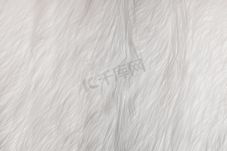 蓬松摄影照片_白色柔软的羊毛图案纹理，抽象的浅色蓬松毛皮背景