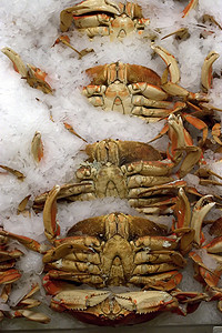 海鲜市场 - 螃蟹