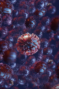显微镜下的全球流行病，冠状病毒在宏观上的表现