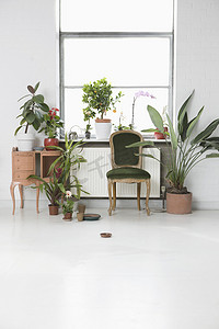 室内有椅子和靠窗的盆栽植物