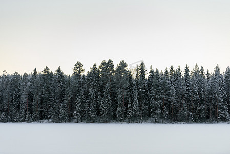 冰湖上的森林覆盖着大雪和天空我