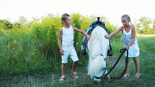 孩子们，一个男孩和一个七岁的女孩，抚摸着一匹白色的小马。