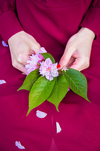 手捧樱花的红裙少女