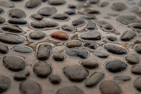 雨后湿润的石鹅卵石路面的特写。