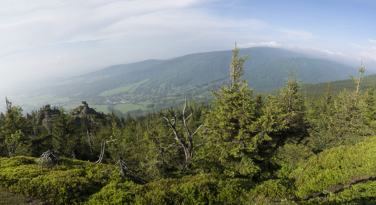 Jizera 山 (jizerske hory) 宽全景，从 Frydlantske cimburi 山，Friedlander Zinne 与郁郁葱葱的绿色云杉森林和蓝天，白云背景，春天的景色。