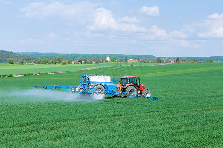 使用拖拉机向小麦喷洒肥料或除草剂。