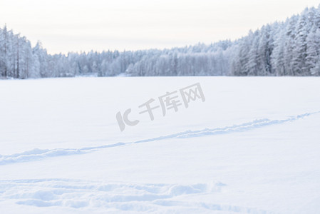 冰湖上的森林覆盖着大雪和天空我