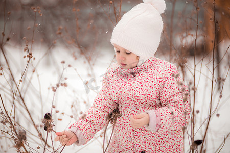 一个小女孩坐在雪地里，在阳光明媚的冬日采摘干植物