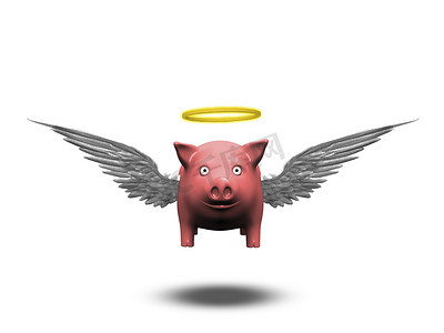 天使猪