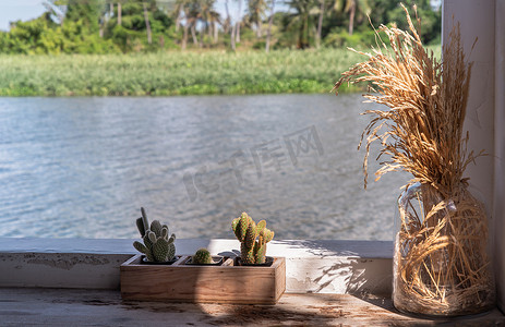 在河边放松的角落，玻璃罐里放着干稻穗，木花盆里放着小仙人掌，用于装饰旧木桌。