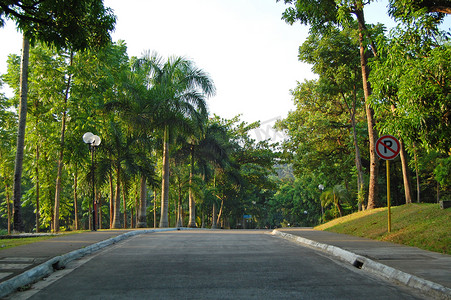 发展路径摄影照片_Meralco 发展中心 (MMLDC) 路径与 Sumulon 的树木