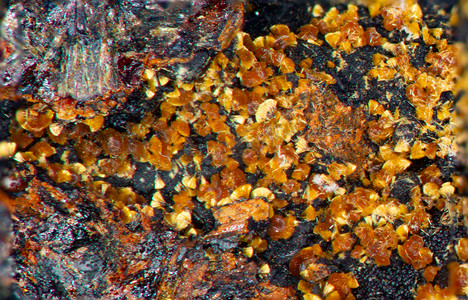 Eleonorite 和 Kakoxen 矿物