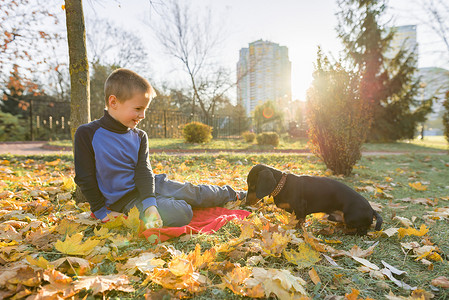 秋日阳光明媚的公园里和腊肠狗玩耍的男孩