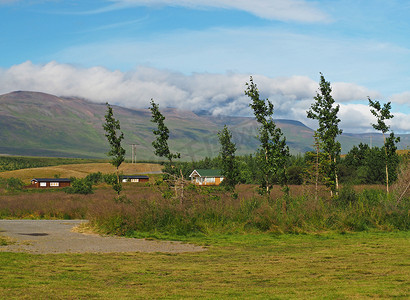 冰岛山区绿色营地和小屋中的白桦树在强风中弯曲