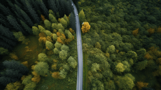 俯瞰森林摄影照片_从空中俯瞰森林中的道路