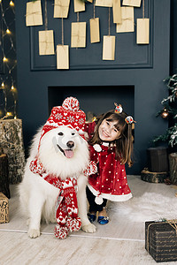 带着狗萨摩耶猎犬的迷人小女孩正在家里等待新年，微笑着看着美丽室内圣诞树附近的相机。