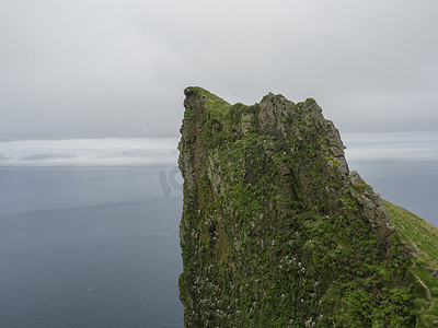 在西峡湾陡峭的国王和王后 Hornbjarg 鸟悬崖、冰岛偏远的 Hornstrandir 自然保护区、海洋和灰色天空的顶部欣赏美景