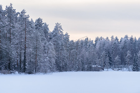 冰湖上摄影照片_冰湖上的森林覆盖着大雪和天空我