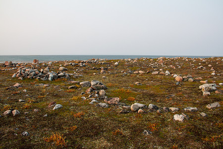 加拿大的地方摄影照片_阿尔维亚特以北哈德逊湾沿岸的几个因纽特人帐篷环遗迹，位于一个名为 Qikiqtarjuq 的地方