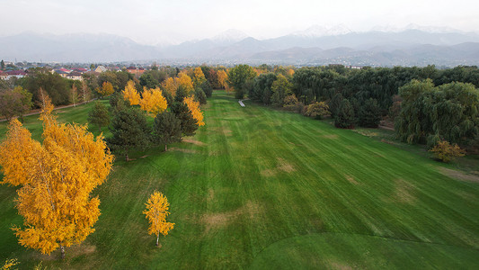人们在秋天的绿色田野上打高尔夫球