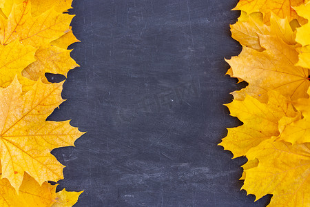 文本框橙色摄影照片_黑色背景上的秋叶框顶视图秋天边界黄色和橙色叶子复古结构表复制文本空间。