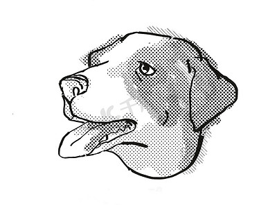 阿彭策尔山犬狗品种卡通复古绘图