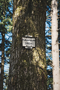 德国布赖斯高施陶芬附近的布莱克伍德森林，树干的垂直照片，上面有一块长成的招牌，