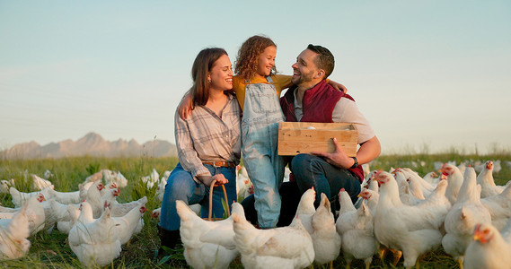 蓝天模型上的养鸡、鸡蛋和家庭，以实现可持续发展的爱、关怀和乡村生活方式。