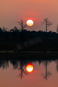 清晨的剪影树与初升的太阳反射在湖面上。