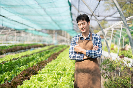 在有机蔬菜水培农场工作的亚洲农民。