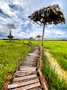 Sampaothai 观景点，在泰国 Phattalaung 的稻田里有一艘船的景点公园