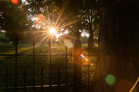 拉斐特公园的长影与镜头光晕老化的照片效果