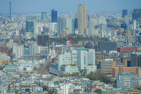 惠比寿花园广场广场从东京市视图