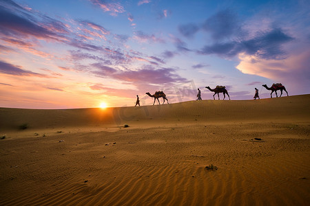 印地安 cameleers 骆驼司机与骆驼剪影在沙丘上日落。