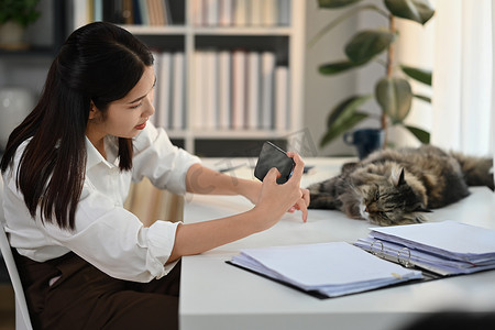 千禧一代快乐女性使用智能手机在家庭办公室与猫合影的照片