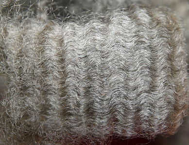 羊毛短纤