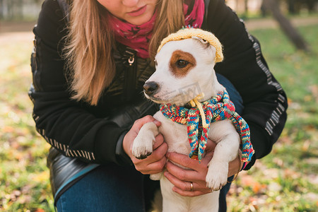 女宠物主人在户外街道上穿着滑稽的衣服遛狗杰克罗素梗犬。