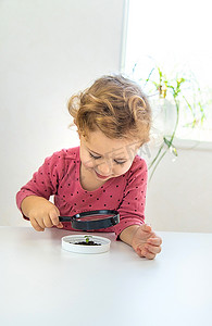 一个孩子在放大镜下检查植物。