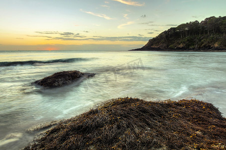 大海海草摄影照片_海浪冲刷着被藻类和海草覆盖的岩石
