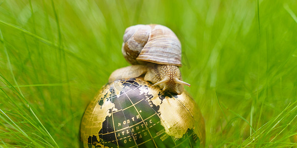 蜗牛草地摄影照片_草地上有一个地球仪，蜗牛在上面移动。