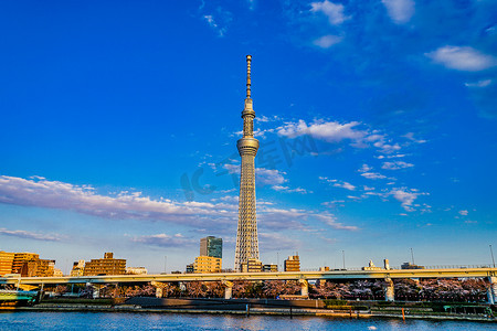 晴空摄影照片_东京晴空塔和晴空