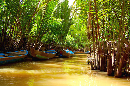 湄公河三角洲摄影照片_湄公河三角洲 - 穿过丛林和船只的水道