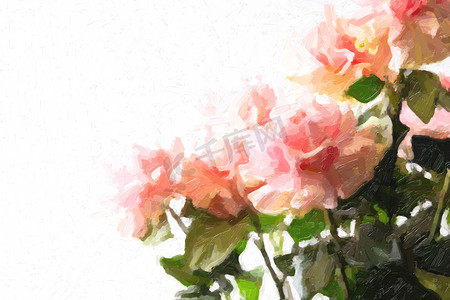 油油画摄影照片_白色背景上的粉红玫瑰，油画效果