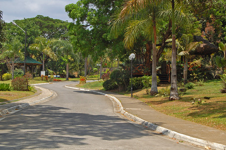 Meralco 发展中心 (MMLDC) 路径与 Sumulon 的树木