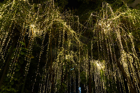 夜间花园树上的 LED 灯串电缆